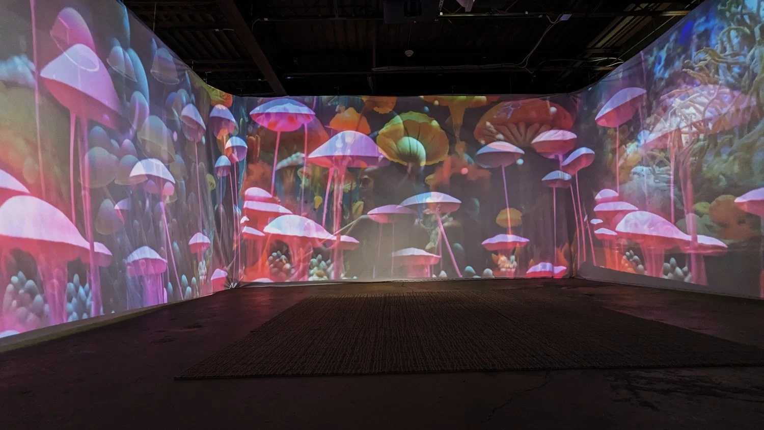Pink mushroom imagery across the ILE OMI projection walls